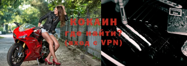 мяу мяу мука Белокуриха